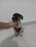 Lis
