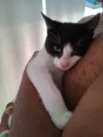 Vitória