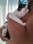 Vitória