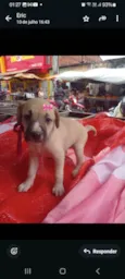 Linda