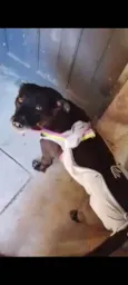 Princesa