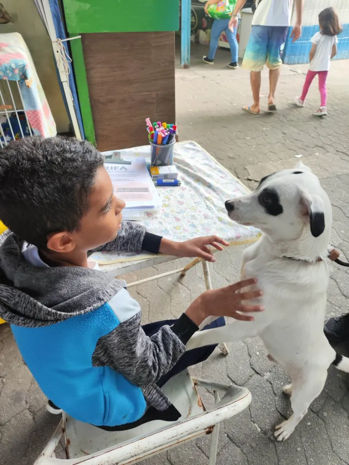 Cachorro ra a SRD-ViraLata idade 7 a 11 meses nome Pirata
