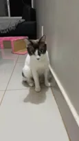 Adoção conhunta: Pandora e Theo