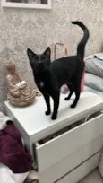 Adoção conhunta: Pandora e Theo