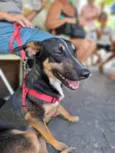 Kiko