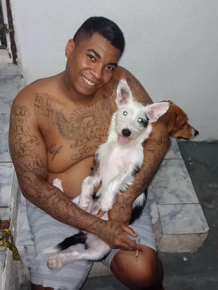 Cachorro ra a SRD-ViraLata idade 2 a 6 meses nome Luna