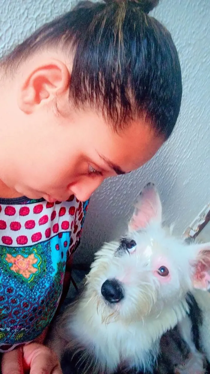 Cachorro ra a SRD-ViraLata idade 2 a 6 meses nome Luna