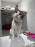 Bernardo