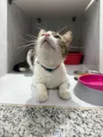 Bernardo
