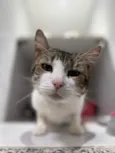 Bernardo