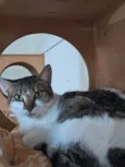 Sara