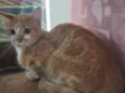 Robert