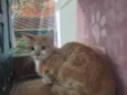 Robert