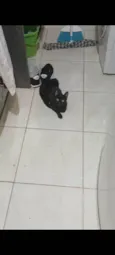 Não possui nome definido 