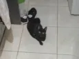 Não possui nome definido 
