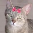 Nina 