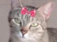 Nina 