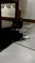 Não sei