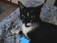 Não sei