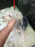 Não sei o nome dele