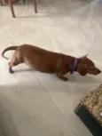 Nina