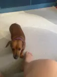 Nina