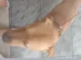 Marlon