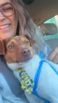 Chico