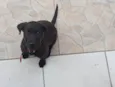 Duke