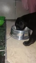 Duke