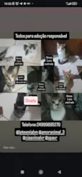 Bolinha