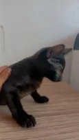 Salém 