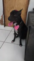 Pandora