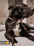 Pandora