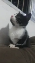 Miumiu