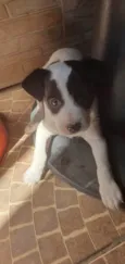 Não tem