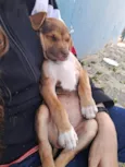 Zeus