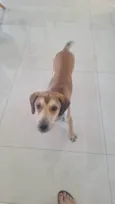 José Luiz