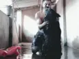 Logan