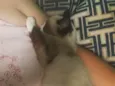 Bolotinha