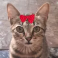 Tina