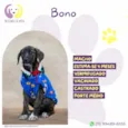 Bono