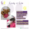 Cindy e Cila