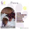 Pietra 