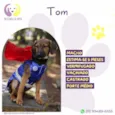 Tom