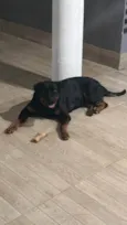 Faísca 