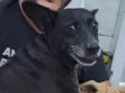 Gigi - Giovana