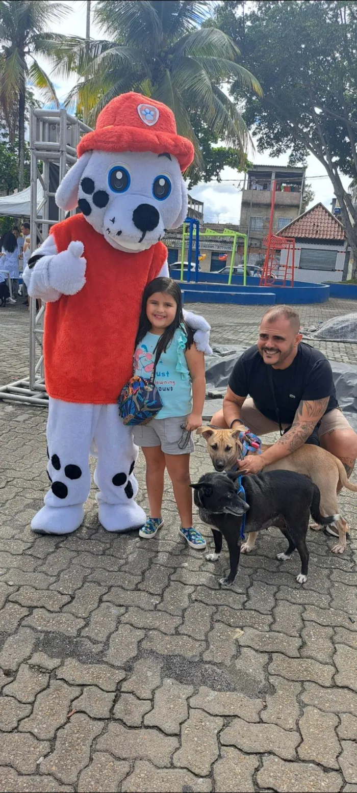 Cachorro ra a SRD-ViraLata idade 6 ou mais anos nome Gigi - Giovana