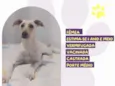 Sol