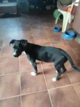 Pepa